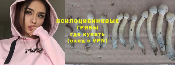 молекула духа Беломорск