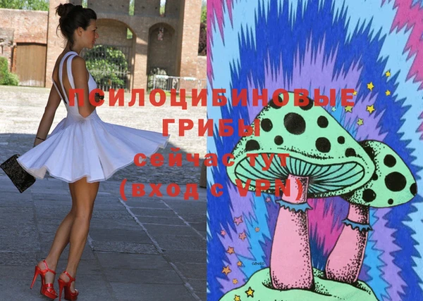 шишки Белоозёрский