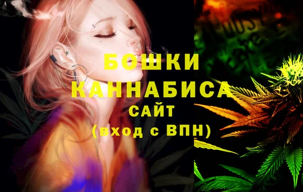 PSILOCYBIN Дмитриев