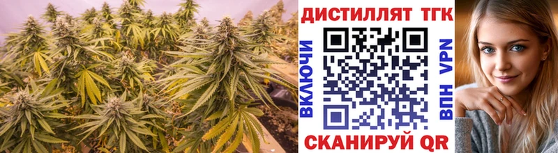 купить закладку  Буйнакск  Дистиллят ТГК Wax 